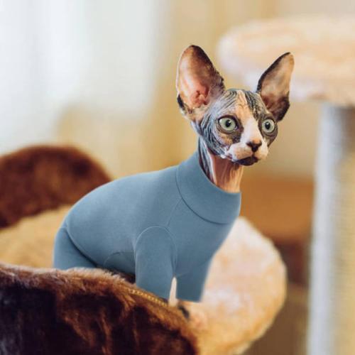 ROZKITCH Sphynx Cat Shirt, Breathable Soft Jumpers for Hairless Cats Only, Coat with Four Legs, Warm Sweater T-Shirt Pajamas Jumpsuit Vest Cornish Rex, Devon Rex, Peterbald Blue XXL