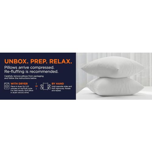 Amazon Basics Square Hypoallergenic Pillow Insert, Down Alternative Fiberfill, Sofa Bed Couch Decorative Stuffer, 18, 2-Pack