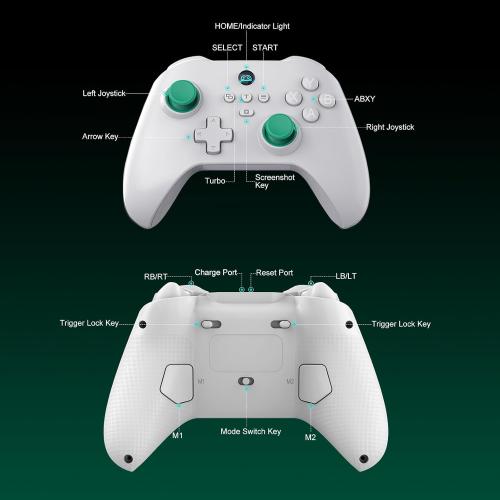 arVin Mobile Gaming Controller for Android, iPhone, iOS, PC, Switch, PS4, Wireless Gamepad with Hall Effect Sensing Joystick/Turbo/Macro Programming/6-Axis Gyro/Motor/Remote Play/Xbox Cloud Game/Steam