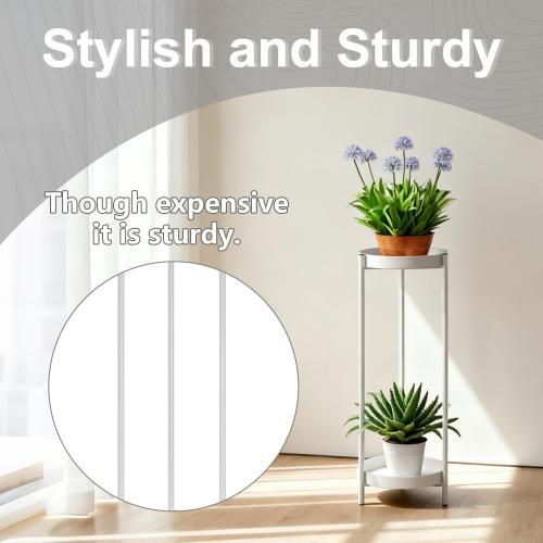 Plant Stand,2 Tier Metal Flower Plants Holder with 2 Removable Display for Indoor or Outdoor,Pot Plant Planter Display(30 X 10in,White)