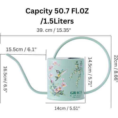 Size 1.5L Color Green Watering Can for Indoor House Plants - Cute Decorative Metal Gardening Small Water Can for Houseplants & Flowers with Long Spout - 1.5L 51floz 0.4 Gallon (Hummingbird Sage)