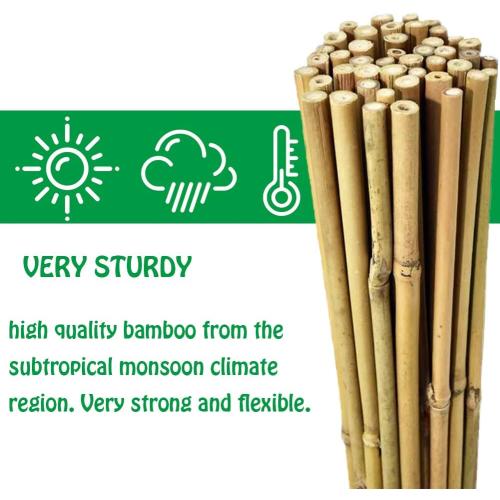 Natural Bamboo Stakes 3 Feet, Eco-Friendly Garden Stakes, Plant Stakes Supports Climbing for Tomatoes, Trees, Beans, 25 Pack