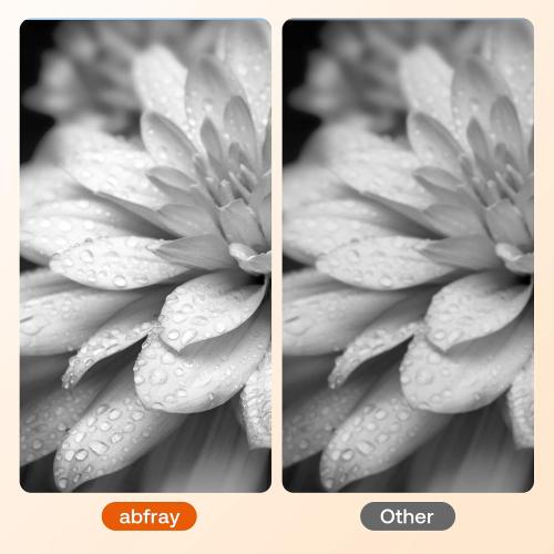 Remanufactured Ink Cartridge Replacement for Canon 245XL for PIXMA MG2420 MG2520 MG2522 MG2525 MG2920 MG2922 MG2924 MG3020 MG3022 MG3029 TR4520 TR4522 TS3120 TS202 Printer (Black 2 Pack)