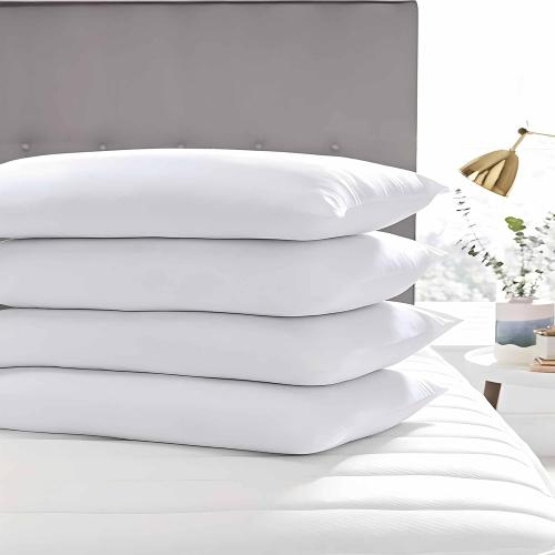 Ultra Thin Flat Soft Bed Pillows Queen Size Set of 2 Pack for Sleeping 20x30, Hypoallergenic Skin Friendly Machine Washable