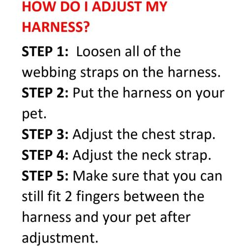 Best Pet Supplies Voyager Step-in Air All Weather Mesh Harness and Reflective Dog 5ft Leash Combo with Neoprene Handle, for Small, Medium and Large Breed Puppies - Set (Purple), MEDIUM