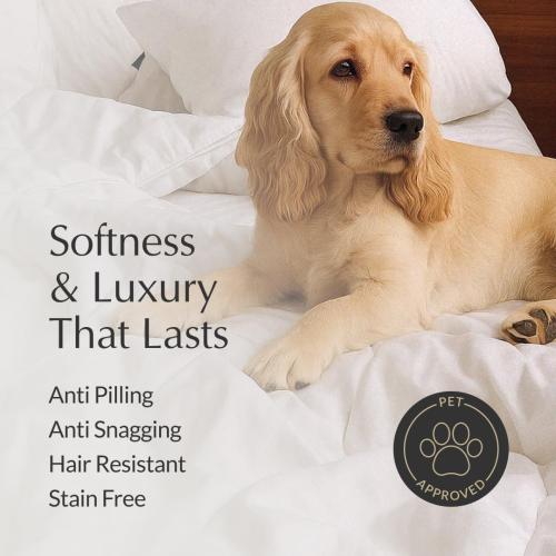 Buffy Cloud Cooling Comforter Queen/Full- White Comforter Queen for Hot Sleepers, Machine Washable Lightweight Fluffy All-Season Temperature-Regulating Eucalyptus Lyocell Duvet Insert