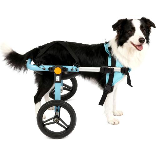 TailWaggers Dog Wheelchair for Back Legs | Adjustable Mobility Aid | All-Terrain Wheels