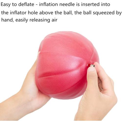 Mini Fitness Exercise Ball Kit with Hand Pump for Yoga, Pilates, Body Balance, Core Training and Stability, 8