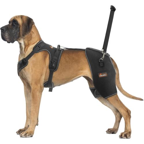 CHAMIN/RISURRY Dog Hip Brace Support for Hip Dysplasia, Arthritis, Back Leg limping, Rear Leg Brace with Back Handheld Design to Reduce Hip Pain et(Extra Extra Large)