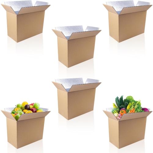 6 Pack Insulated Shipping Box Honeycomb Paper, Insulated Carton with Aluminum Foil Liner, Reusable Large Foil Cooler Carton Moving Kits for Mailing Packing 11 x 6.1 x 7.87