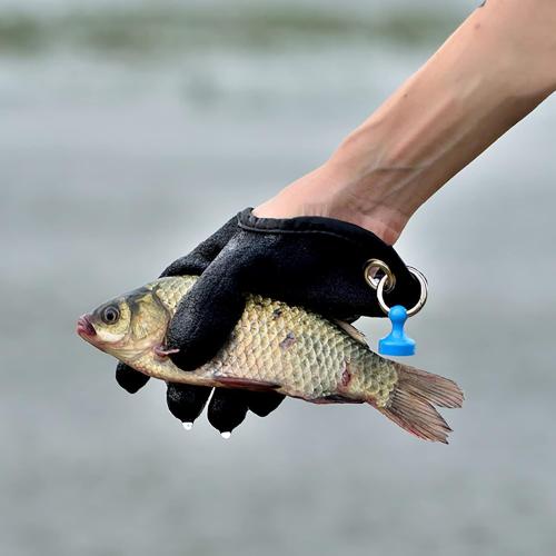 Professional Fishing Gloves,Catch Fish Gloves with Magnet Hooks, Anti-Slip Fishing Gloves Protects Hand (Black)