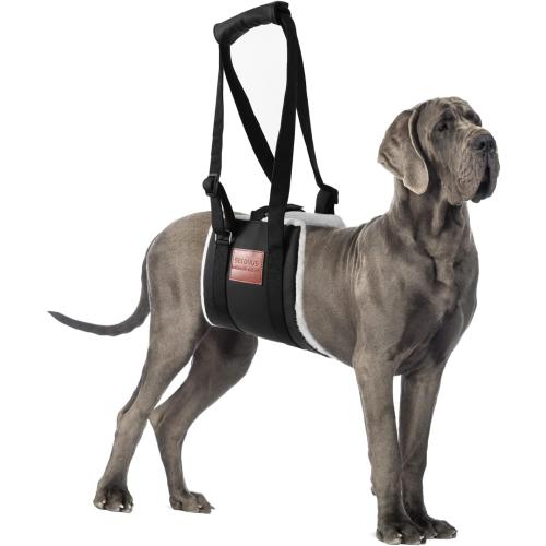 Dog Sling for Back Legs, Dog Lift Harness, Magic Tape Dog Sling for Large Dogs Hind Leg Support, Elderly Dog Lifter, Help Canie Hip Arthritis K9 Cruciate Ligament Rehabilitation (Large)
