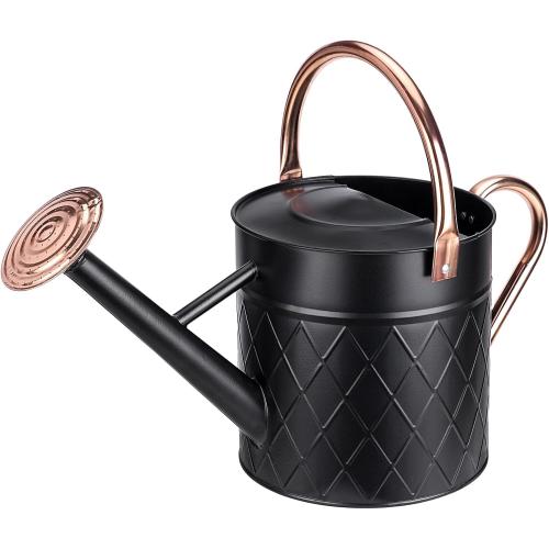 1.75 Gallon Outdoor Metal Watering Can for Garden Plants, Vintage Zinc Watering Can with Removable Spray Spout, Ideal for Outdoor Use (Black)