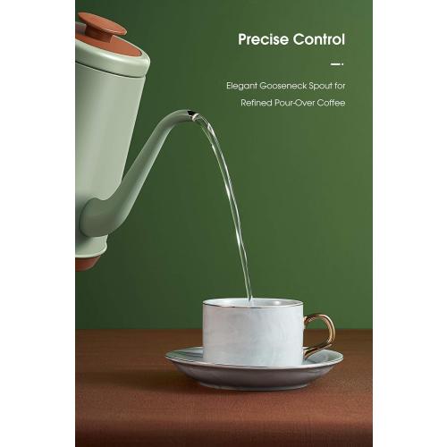 DmofwHi Gooseneck Electric Kettle(1.0L), 100% Stainless Steel BPA Free Classic Pour Over Coffee Kettle | Tea Kettle - Green