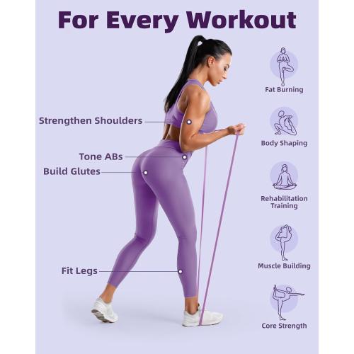 Resistance Bands Set - Pull Up Bands for Men Women, Exercise Bands Resistance with Door Anchor, Training Poster & Pouch for Body Stretching, Pull Up Assist