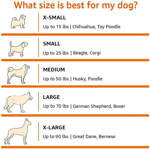Amazon Basics Dog Crate, Travel Dog Kennel Double Door Collapsible, Lightweight Soft-Sided Folding, Portable Dog Cage, XL 42 x 31 x 31, Tan