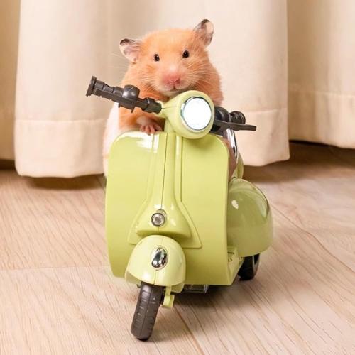 Scooter for Labubu with Light and Music, Have A Seat for Labubu Accessories, Mini Electric Doll Scooter Interactive Decor Desktop Ornaments for Labubu Collectors