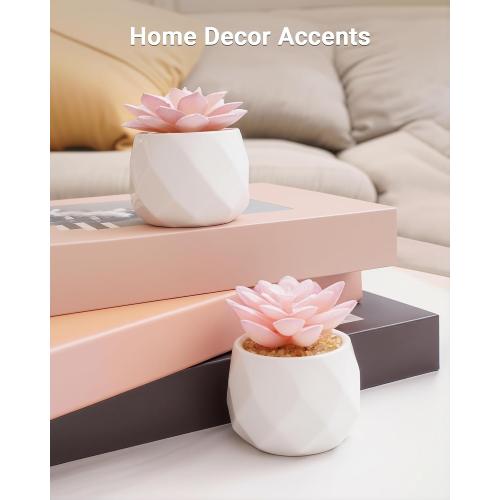 VIVERIE Mini Succulents Plants Artificial in Pots-Rose Pink, Christmas Small Fake Succulents Plants for Home Decor Indoor for Women, White Ceramic Faux Succulents, Set of 2, Gifts for Mom