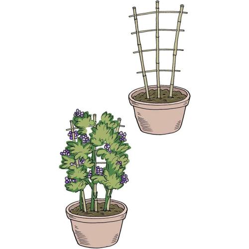 Natural Bamboo Trellis 24 Inches Tall, Mininfa Garden Ladder Trellis, Plant for Climbing Plants, Vegetables, Pots - 3 Pack