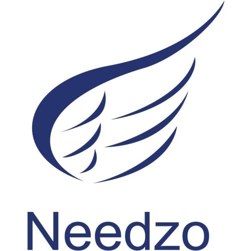 Needzo Religious Advent Calendar 2025 Activity Card Set, 25 Daily Bible Verses and Activities, Countdown to Christmas Sunday School Lessons for Children (Pack of 1)