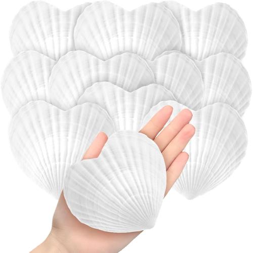 Thyle Natural Scallop Shells for Crafts 4 Inch White Heart Sea Shells for Summer DIY Craft Making Painting Cooking Summer Ocean Themed Party Supplies and Decoration(12 Pcs)