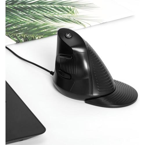 DeLUX Wired Vertical Ergonomic Mouse, with 6 Programmable Buttons, 4200DPI, Removable Palm Rest, Reduces Wrist Pain and Carpal Tunnel for Medium Hands (M618XU-Black)