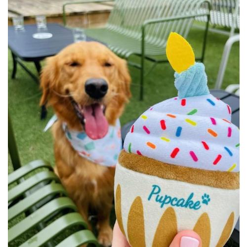 Nestpark Dog Birthday Toy - Pup Cake Puppy Cupcake Plush Squeak and Crinkle Gift