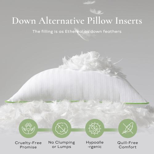 Ashler Home Deco Synthetic Down Pillow Inserts, 20x20 Down Alternative Throw Pillows Insert Sleeping Pillows with 100% Cotton Cover Decorative Pillow Stuffer for Sofa, Couch Bed(Set of 4, White)