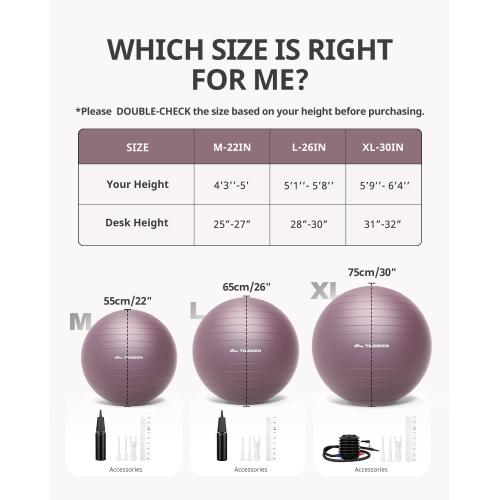 Trideer Yoga Ball – Anti-Burst Exercise Ball for Pregnancy, Office, Birthing, Stretching & Core Workout – Home Gym & Therapy