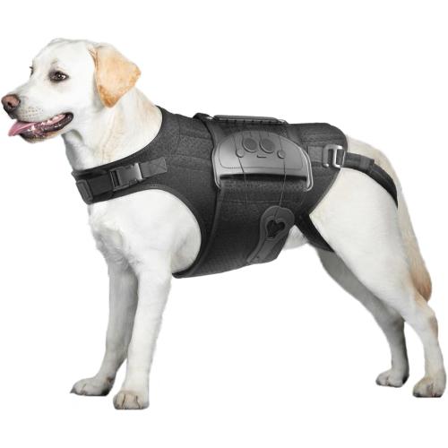 Dog Back Brace for IVDD, Arthritis, Slipped and Herniated Discs – Provides Back Support and Pain Relief, Stabilizes Spine for Surgical Recovery and Mobility, Dogs Back Disease Prevention(Black,L)