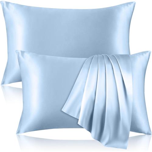 2 Pack 100% Pure Silk Pillowcase for Hair and Skin, Both Sides Mulberry Silk Pillowcases with Hidden Zipper, Cooling Pillowcase 19 Momme, 600 Thread Silk Pillow Cases Standard Size, Light Blue