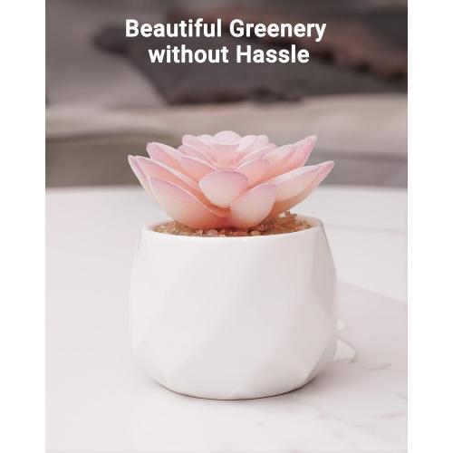VIVERIE Mini Succulents Plants Artificial in Pots-Rose Pink, Christmas Small Fake Succulents Plants for Home Decor Indoor for Women, White Ceramic Faux Succulents, Set of 1, Gifts for Mom