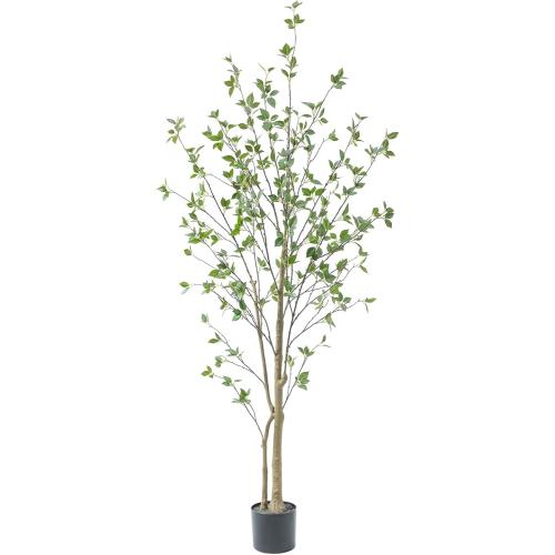 Bellacat 6ft Artificial Minimalist Citrus Tree with Lifelike Leaves, 72in Faux Citrus Tree with Realistic Trunks, Faux Tree Indoor Outdoor for Home Office Living Room Bedroom Porch Decor.