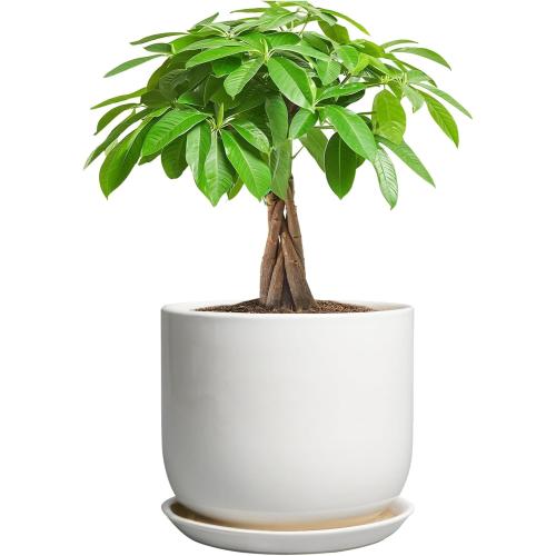 Ceramic Pot for Plants 7 Inch - Modern Round Indoor Outdoor Planter with Drainage Hole and Saucer, Home House Office Room Decor, White