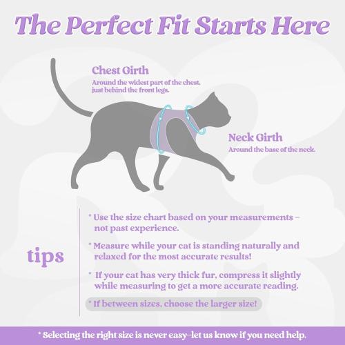 rabbitgoo Cat Harness and Leash Set for Walking Escape Proof, Adjustable Soft Kittens Vest with Reflective Strip for Cats, Comfortable Outdoor Vest, Light Purple, S