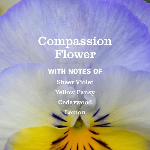 MRS. MEYER'S CLEAN DAY Liquid Dish Soap Refill, Compassion Flower, Packaging May Vary, 48 fl. oz
