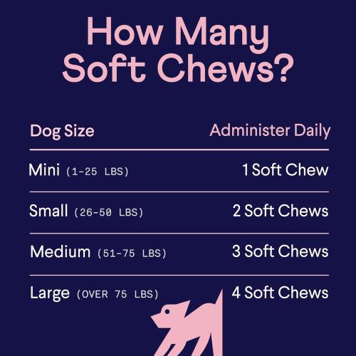 Finn Skin & Coat Salmon Oil Chews for Dogs | Omega-3 EPA & DHA | 90 Ct | Biotin, Zinc & B-Vitamins | Wild Alaskan Sourced | NASC Certified | Vet-Formulated | Healthy Skin & Coat