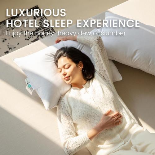 A Size Set of 2, Hotel Collection Fluffy sofa Pillows for Sleeping, 100% Cotton Cover Soft Pillow 22x22 2 Pack