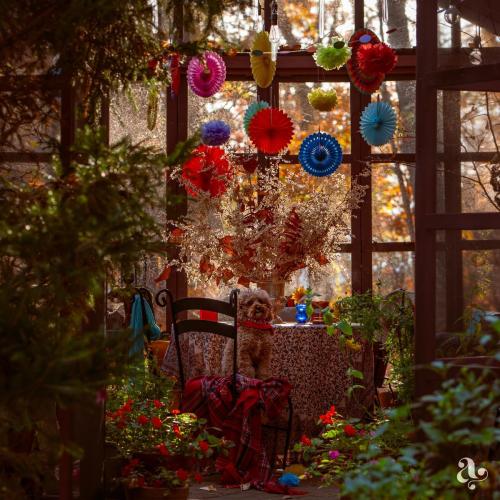 Mexican Fiesta Party Decorations - Colorful Paper Fans & Pom Poms (20 pcs)