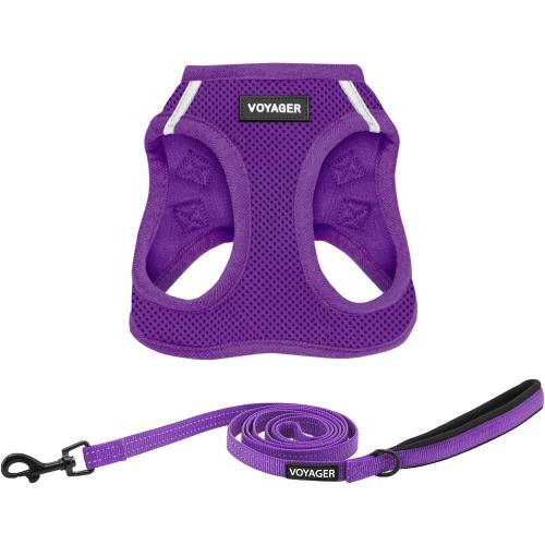 Best Pet Supplies Voyager Step-in Air All Weather Mesh Harness and Reflective Dog 5ft Leash Combo with Neoprene Handle, for Small, Medium and Large Breed Puppies - Set (Purple), MEDIUM