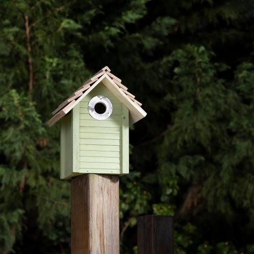 Navaris Wooden Bird House - Garden Nesting Box for Small Birds - Pine Wood Birdhouse - Real Wood Nester Cabin for Robins, Blue Tits, Sparrows - Green