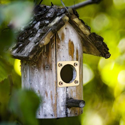 4 Pieces Metal Bird House Guard with Copper Portal Bird House Replacement for Eastern Bluebird Birdhouses(1 1/8 Inch Inner Diameter)