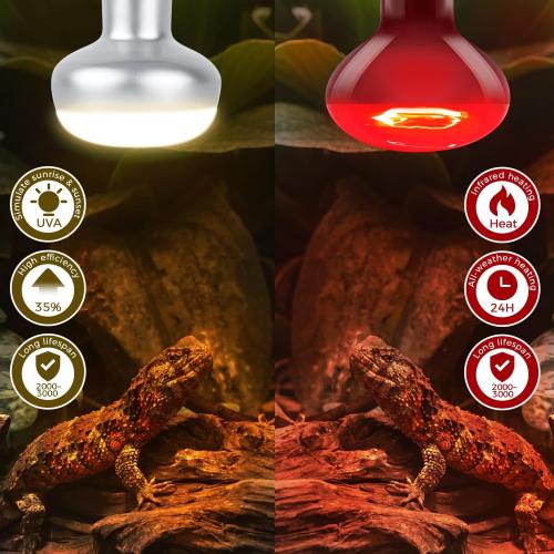 Reptile Infrared Heat Lamp Bulb 75W, 2-in-1 Day & Night Combo, Infrared Heat Lamp & UVA Sunlight Heating Lamp for Reptile Terrariums