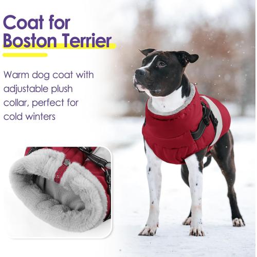 SUNFURA Small Dog Coat with Harness Built in, Warm Dog Jacket Winter with Zipper On Back, Waterproof Pet Snow Jacket Snowsuit Pet Sweater Clothes for Puppy, Burgundy XS