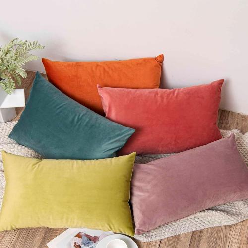 JUSPURBET Decorative 20x20 Pillow Covers Set of 2 Velvet Throw Pillow Covers for Couch Sofa Bed Soft Cushion Covers Cases with Hidden Zipper for Living Room Home,Coral