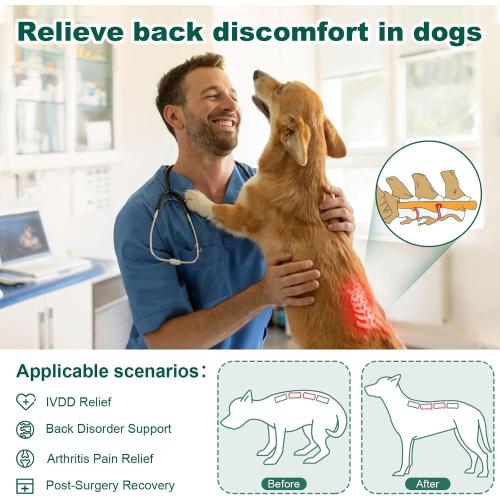 Dog Back Brace for IVDD, Arthritis, Slipped and Herniated Discs – Provides Back Support and Pain Relief, Stabilizes Spine for Surgical Recovery and Mobility, Dogs Back Disease Prevention(Black,L)
