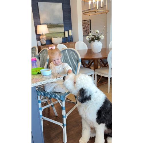 PURPLE LEAF French Counter Height Bar Stool Set of 2 25 White Print Finish Patio Bar Chairs with Back Rattan Bar Chairs French Bistro Set for Kitchen Outdoor Counter Stool Royal Blue