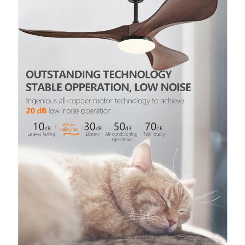 60 in Ceiling Fan of 7400 CFM High Airflow with Light and Remote Control,Outdoor/Indoor Ceiling Fan with 3 Blades Noiseless Reversible DC Motor 6 Speeds with 3 CCT and Timer for Living Room Patios