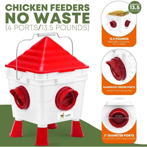 Lilyang Standing Chicken Feeders and Chicken Waterers, 2.5 Gallon Chicken Water Feeder with 4 Cups, 13.5 lb Automatic Chicken Feeder No Waste, for 8-10 Adult Chickens or 10-15 Quails (Standing)