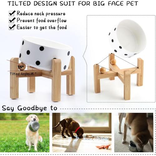 Petygooing Raised/Elevated 15°Slanted Ceramic Dog Bowl for Small Breeds,Tilted Anti Slip Pet Bowl,Food Water Dish with Stand for Cats and Small Dogs Puppy 13.5 OZ (5.1In / 1.7 Cups) Black Dot